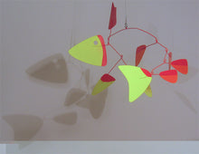 Load image into Gallery viewer, Yellow FIns
